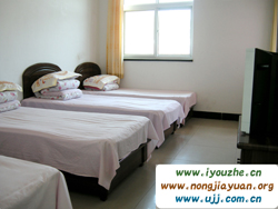 �S�����P�t�r(n��ng)��Ժ