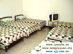 �S�����P�t�r(n��ng)��Ժ