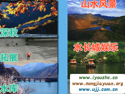 �S�����P�t�r(n��ng)��Ժ