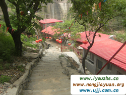 �S���Ǻ��V�