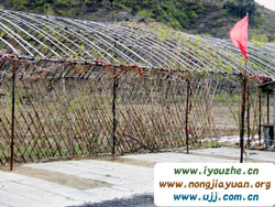 �S����ɽ���H���r(n��ng)��Ժ