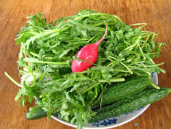 �S�����[��ɽʥ�_�r��Ժ