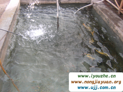 �Ŷɺ�����ɽ�f