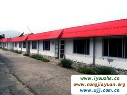 �S��������ɽ�f