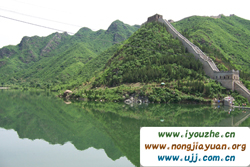 �S��������ɽ�f