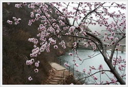 ��ȻϪ��ˮ���r(n��ng)��