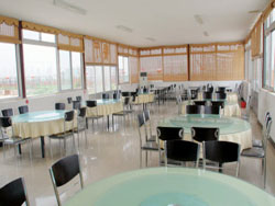 ƽ�Ⱦ��|��{�Ȗ|���f�@