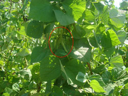 ����¡���B(t��i)�r(n��ng)�I(y��)����ɽ�f