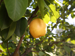 ����¡���B(t��i)�r(n��ng)�I(y��)����ɽ�f