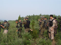 ����¡���B(t��i)�r(n��ng)�I(y��)����ɽ�f