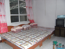 ���f���ܟ�Ӣ�r(n��ng)��Ժ