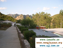 91̖(h��o)���e�ȼٴ�