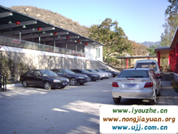 91̖(h��o)���e�ȼٴ�