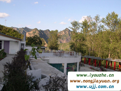 91̖(h��o)���e�ȼٴ�