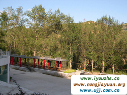 91̖(h��o)���e�ȼٴ�