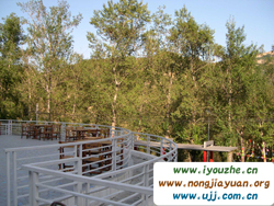 91̖(h��o)���e�ȼٴ�