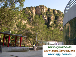 91̖(h��o)���e�ȼٴ�