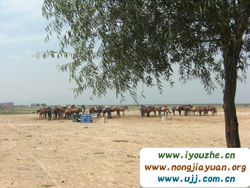 ������ԭ�����Tʿ�㘷(l��)��