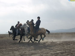 ������ԭ�����Tʿ�㘷(l��)��