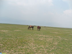 ������ԭ�����Tʿ�㘷(l��)��