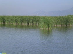 ������ԭ�����Tʿ�㘷(l��)��