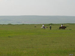 ������ԭ�����Tʿ�㘷(l��)��