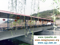 ƽ�Ƚ𺣺���Ȫ�d�