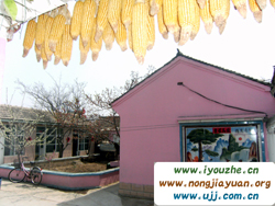 �r(n��ng)��Ժ��(n��i)