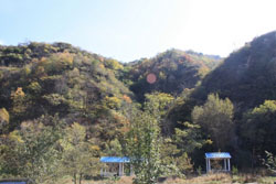 �����ӑcˮī�നɽ�f