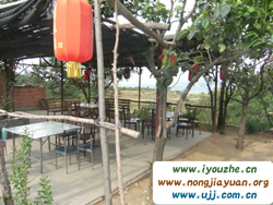 ����ˮ���^ˮͥԺ