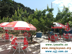 ����Դ��ʳ��