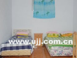 �|�鴹������g