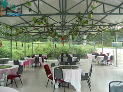 Ľ�����L(zh��ng)�Ǿ����ɴ�ឈ@