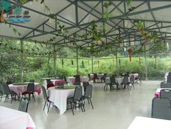 Ľ�����L(zh��ng)�Ǿ����ɴ�ឈ@