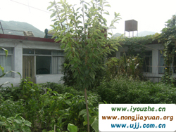 ����������r(n��ng)��Ժ