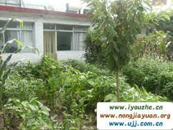 ����������r(n��ng)��Ժ