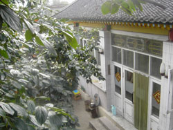 �����{���ف��r(n��ng)��Ժ