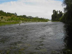 �����{���ف��r(n��ng)��Ժ