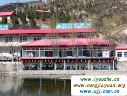 �����{��ƽ��f