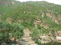 ��������Ȫ�