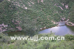 �����{�L(f��ng)��