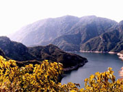 �����{�l(xi��ng)���