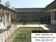 �����{�l(xi��ng)���