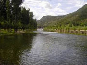 �����{�l(xi��ng)���