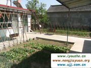 �����{�l(xi��ng)���