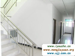 �����{���Ժ