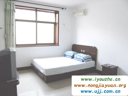 ʮ�ɳ����e��