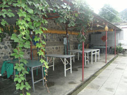 ʮ�ɖ|����ɽ֮���r(n��ng)��Ժ