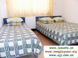 ʮ���A���Έ@