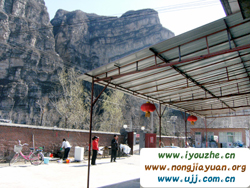 ʮ��ӭ���r��Ժ